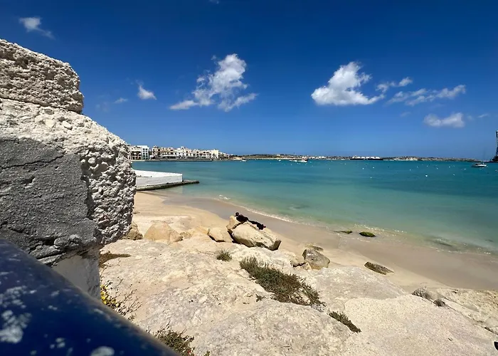 Guest house The House